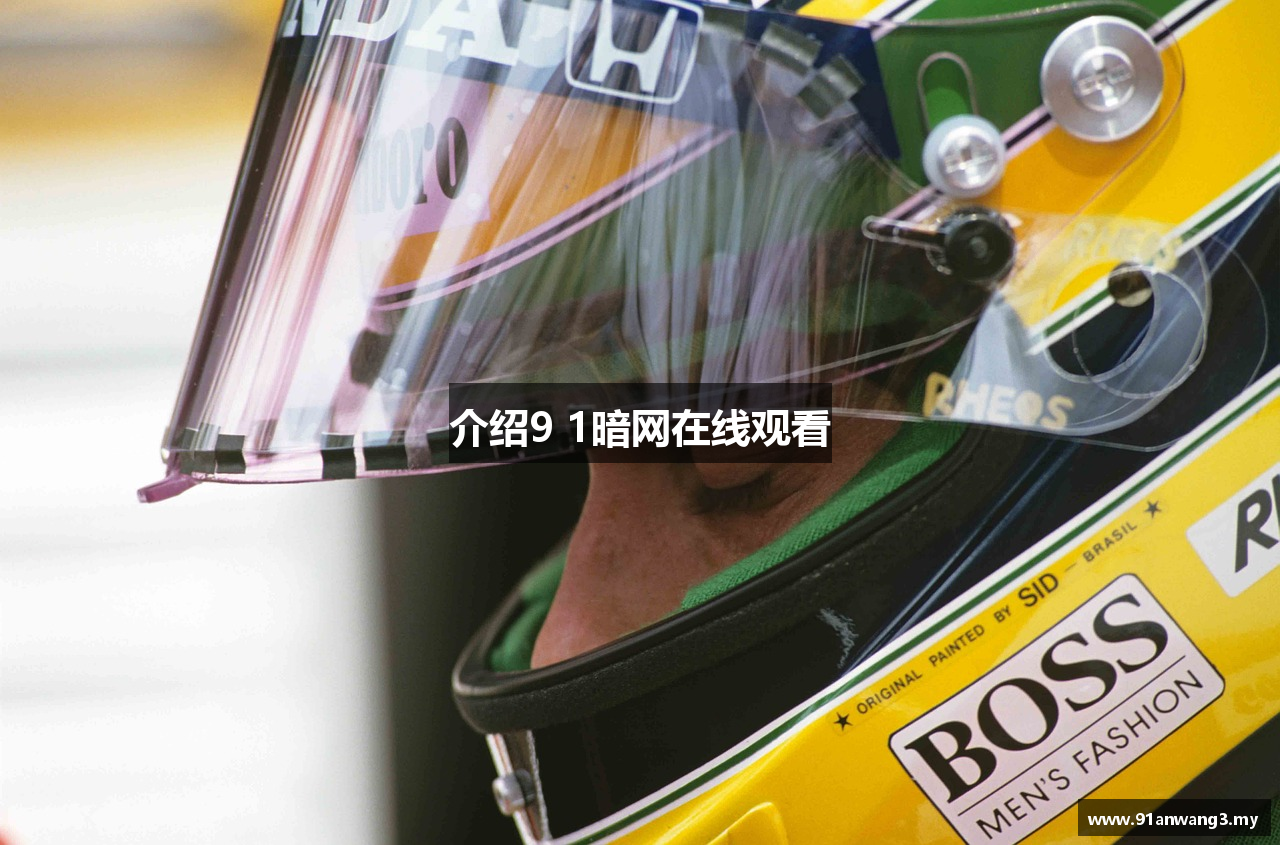 介绍9 1暗网在线观看