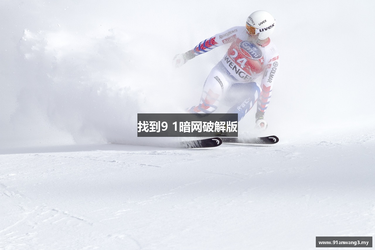 找到9 1暗网破解版